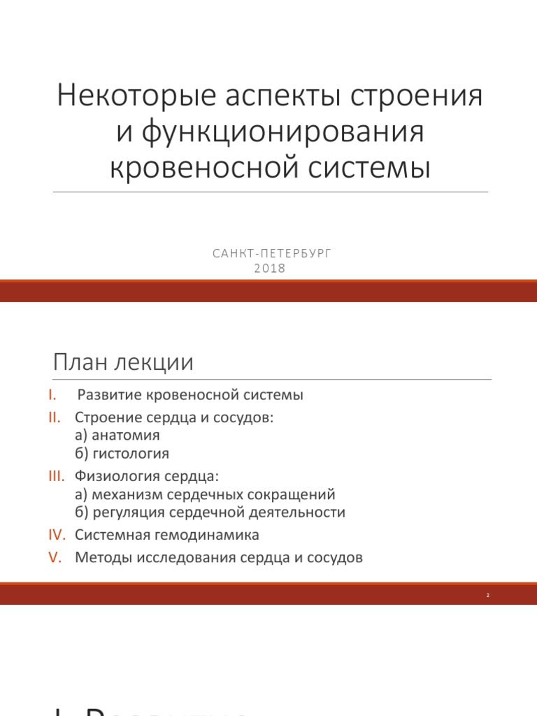 Лекция по теме Регуляция сердечной деятельности